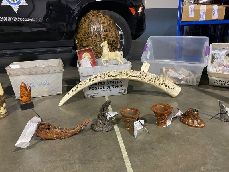 Illegal seized ivory products laid out on floor.